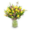 Kytice žlutých tulipánů